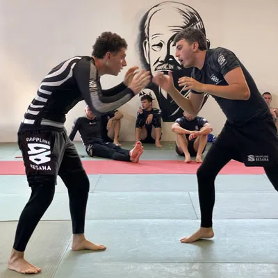 grappling besana discipline